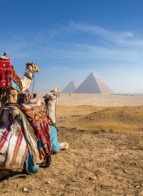 En nizalytoursrd Agencia de Viajes disfruta de las mejores ofertas y promociones, en estadías de hoteles, paquetes turísticos, destino nacionales e internacionales y mucho más. 